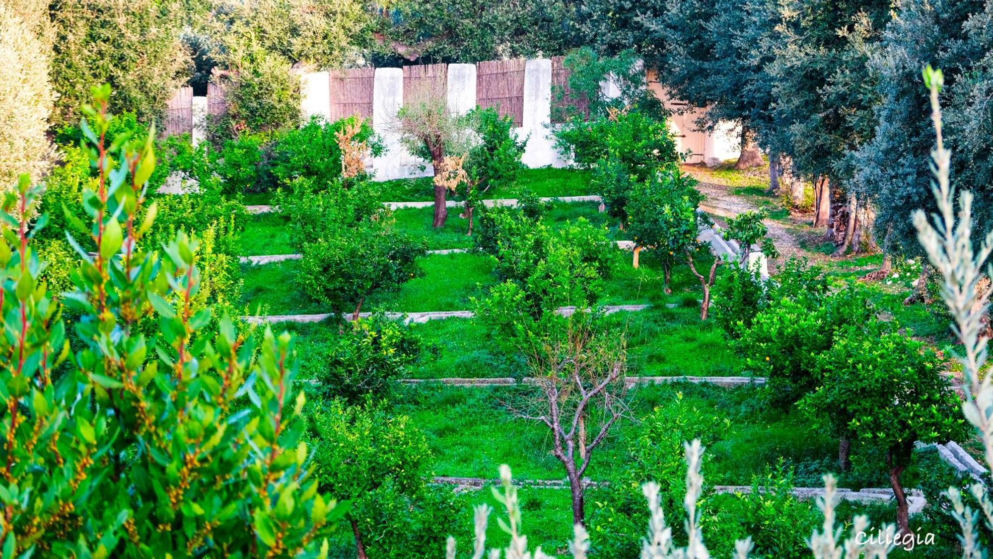 I Frangiventi Bed & Breakfast Rodi Garganico Ngoại thất bức ảnh