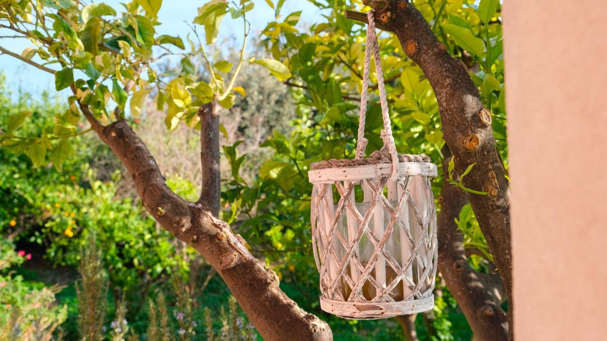 I Frangiventi Bed & Breakfast Rodi Garganico Ngoại thất bức ảnh